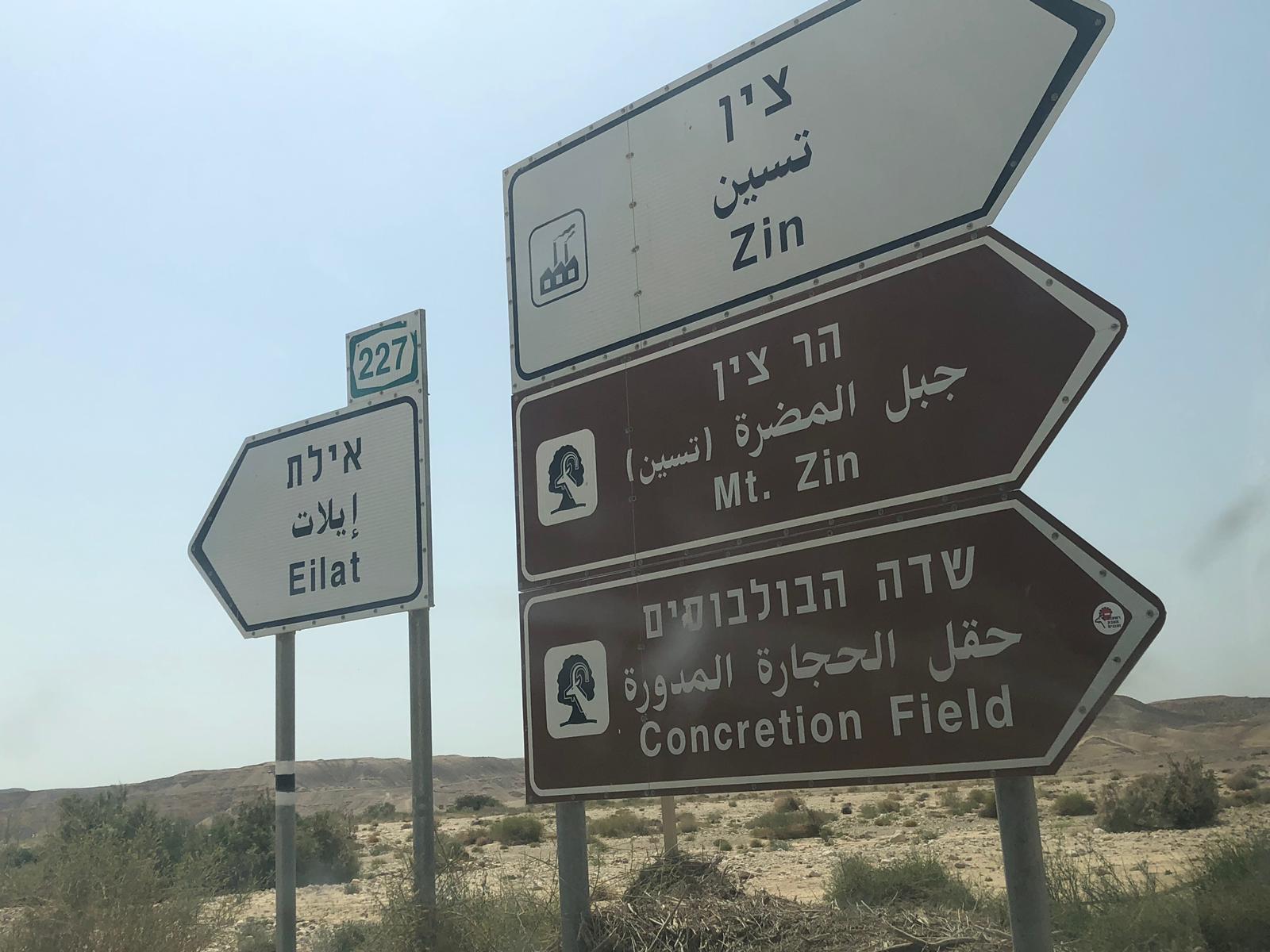 WhatsApp Image 2019-04-13 at 10.23.40 PM.jpeg.jpeg